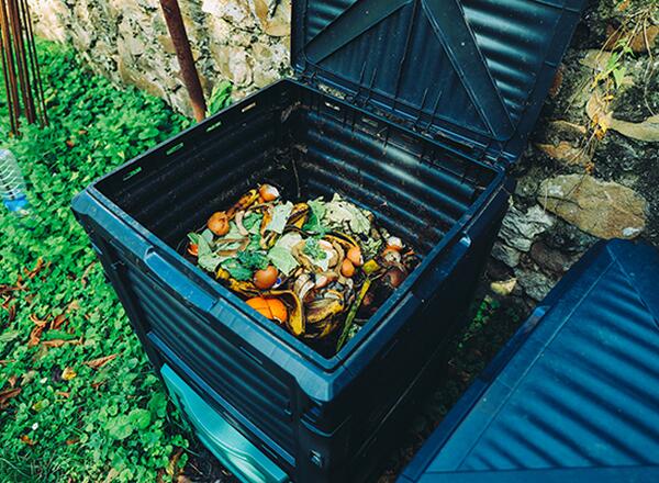 compost bin